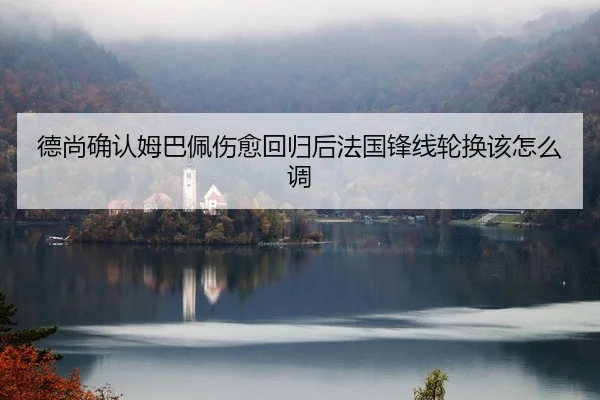 de-shang-que-ren-mu-ba-pei-shang-yu-hui-gui-hou-fa-guo-feng-xian-lun-huan-gai-zen-me-diao-2-303.jpg