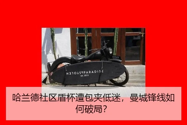 ha-lan-de-she-qu-dun-bei-zao-bao-jia-di-mi-man-cheng-feng-xian-ru-he-po-ju-2-732.jpg