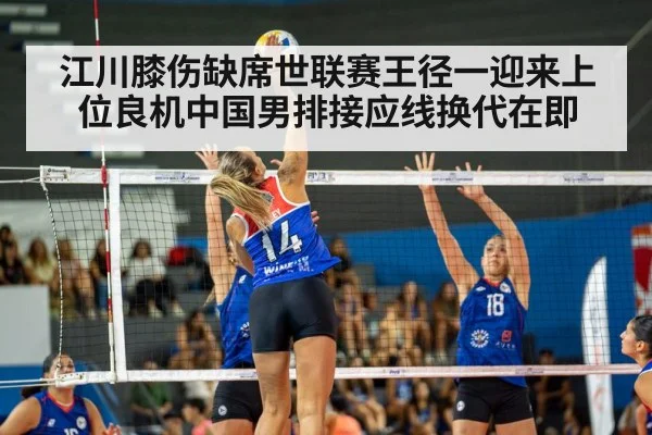 volleyball match