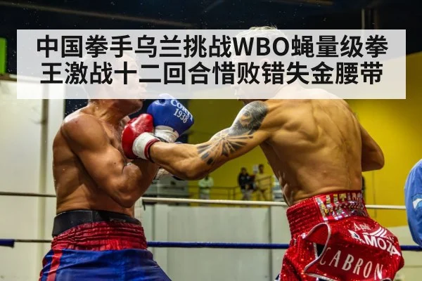 boxing fight action